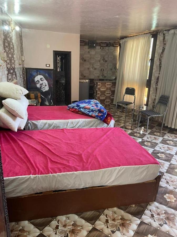 Nubian Dreams Guest House 阿斯旺 外观 照片