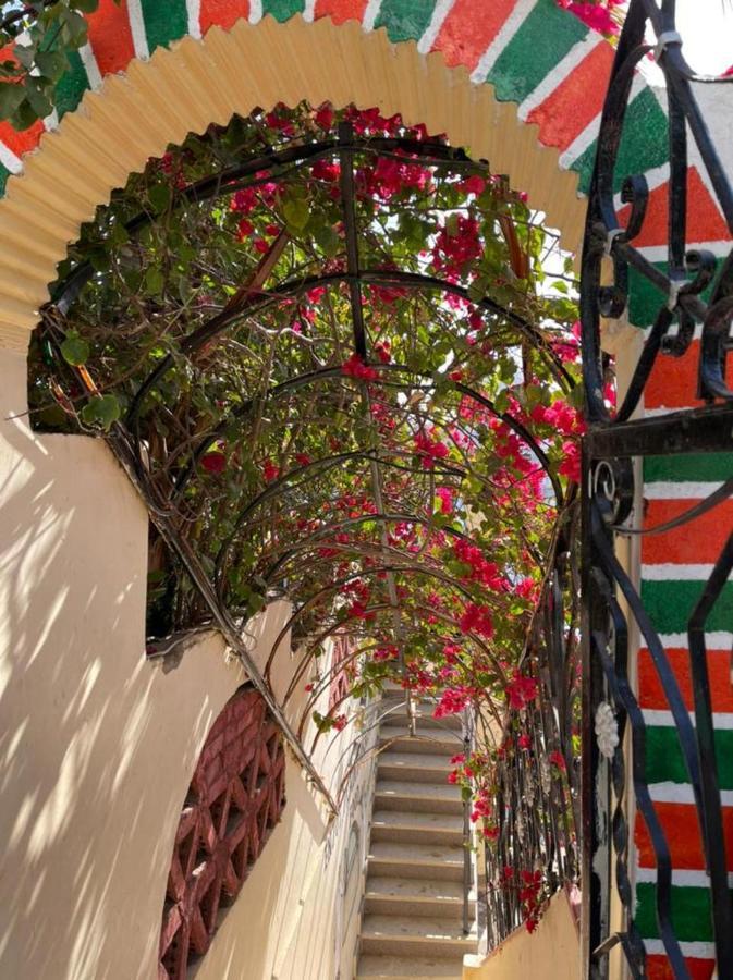 Nubian Dreams Guest House 阿斯旺 外观 照片