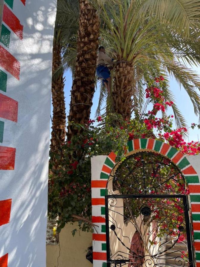 Nubian Dreams Guest House 阿斯旺 外观 照片