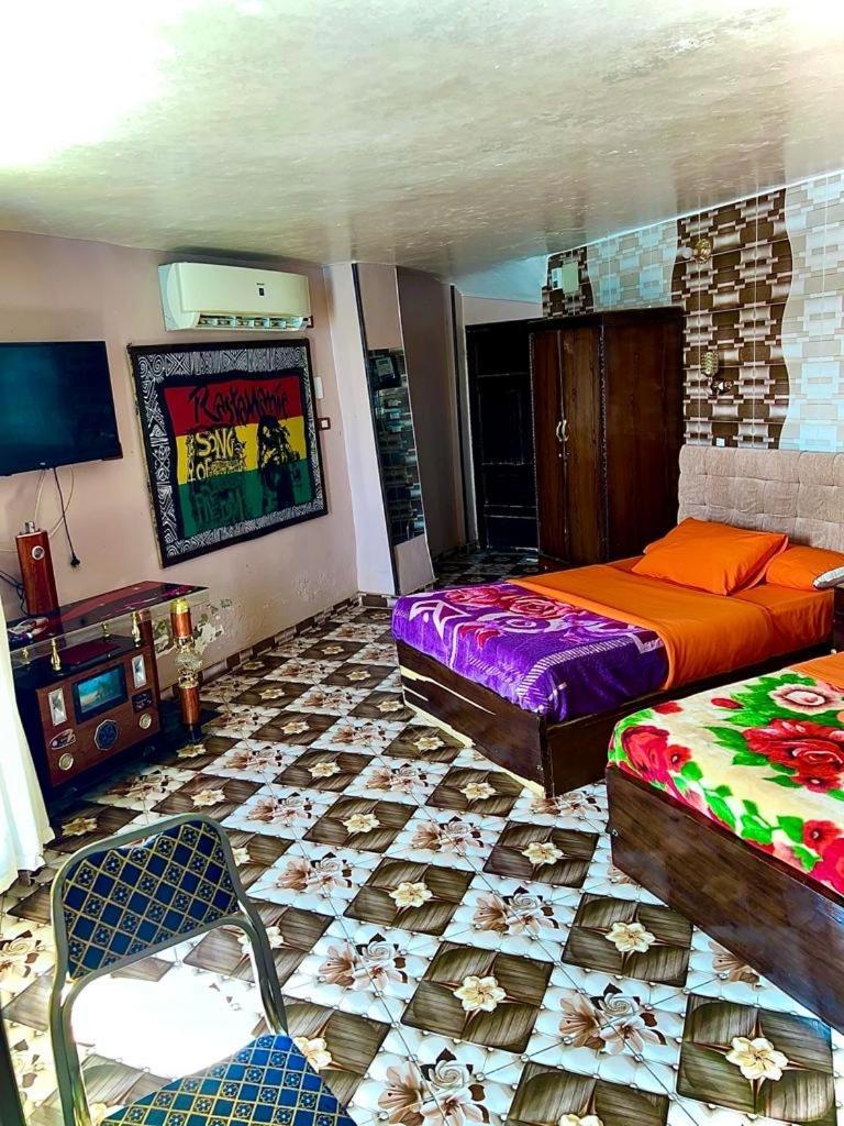 Nubian Dreams Guest House 阿斯旺 外观 照片