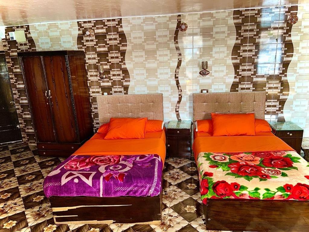 Nubian Dreams Guest House 阿斯旺 外观 照片