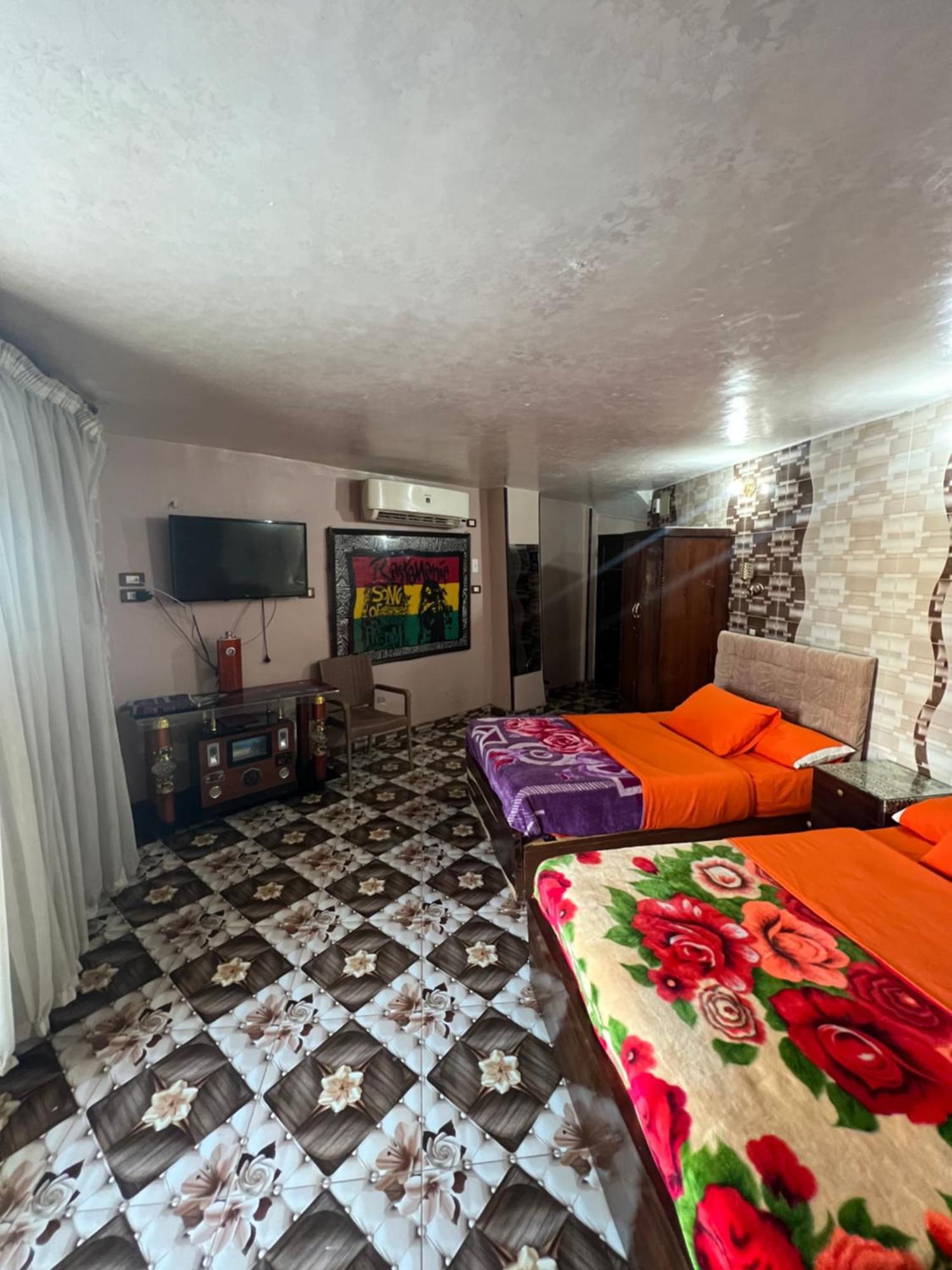 Nubian Dreams Guest House 阿斯旺 外观 照片